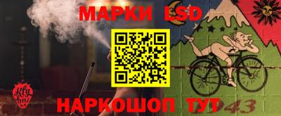 гидра Новозыбков