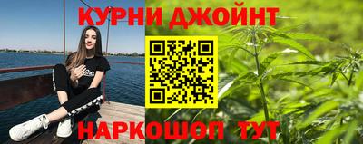 Альфа ПВП Новодвинск