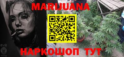 гидра Новозыбков