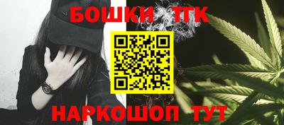 гидра Новозыбков