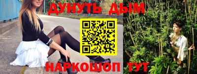 гидра Новозыбков