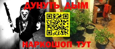 Альфа ПВП Новодвинск