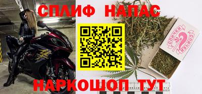 гидра Новозыбков