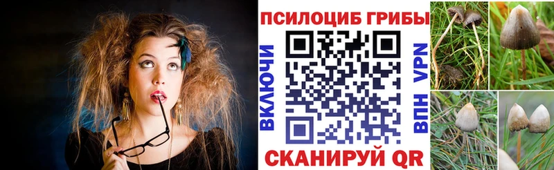 Галлюциногенные грибы Psilocybine cubensis  kraken зеркало  Рыбинск  дарк нет формула  даркнет сайт 