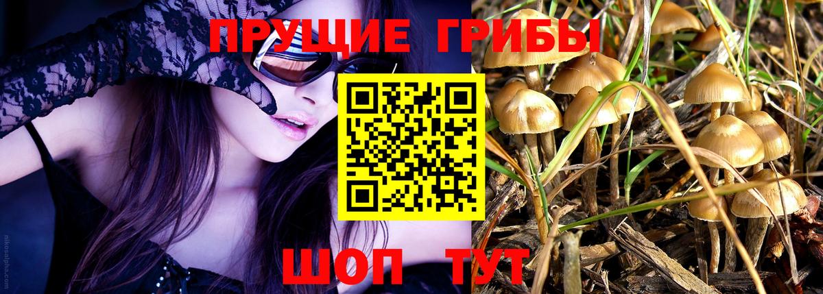 Галлюциногенные грибы ЛСД  Вход с VPN  Рыбинск  купить   Псилоцибиновые грибы GOLDEN TEACHER 